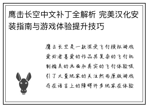 鹰击长空中文补丁全解析 完美汉化安装指南与游戏体验提升技巧